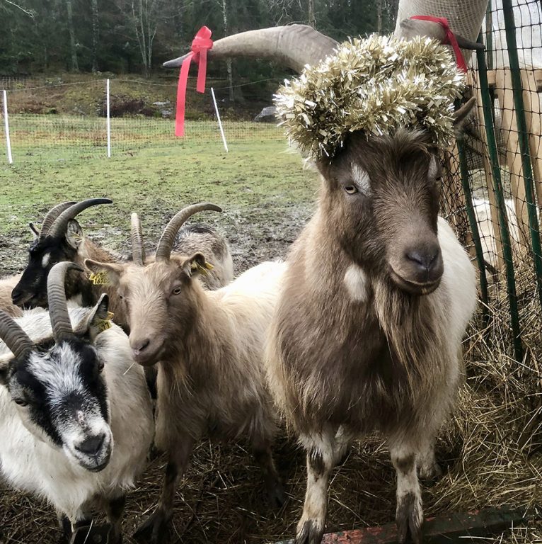 Odin är Lidingös Lucia 2019