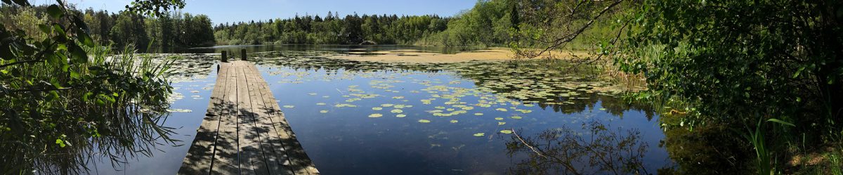 Lidingö Nyheter